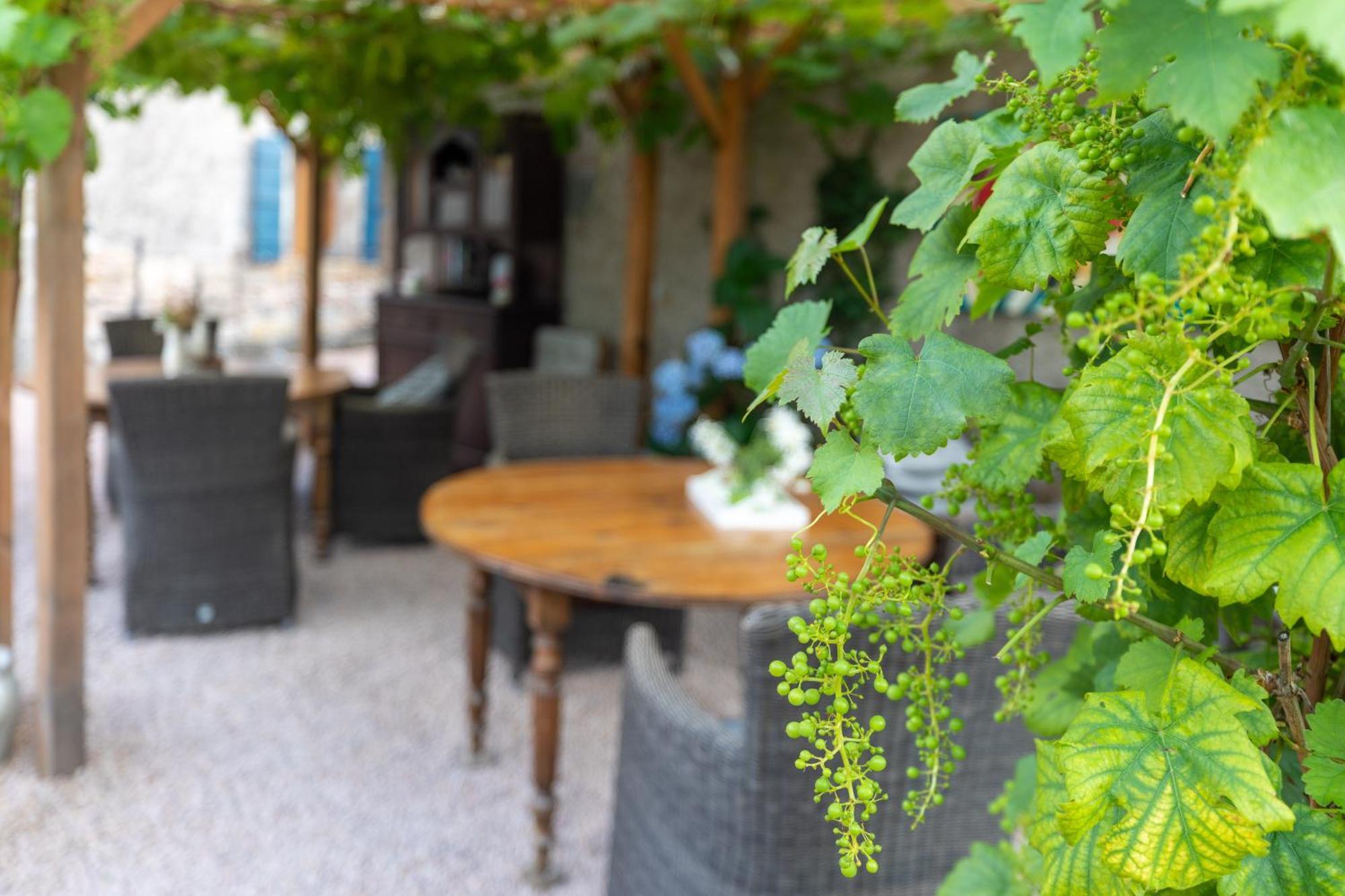 Domaine La Pomme De Pin Bed and Breakfast Louroux-de-Beaune Eksteriør billede